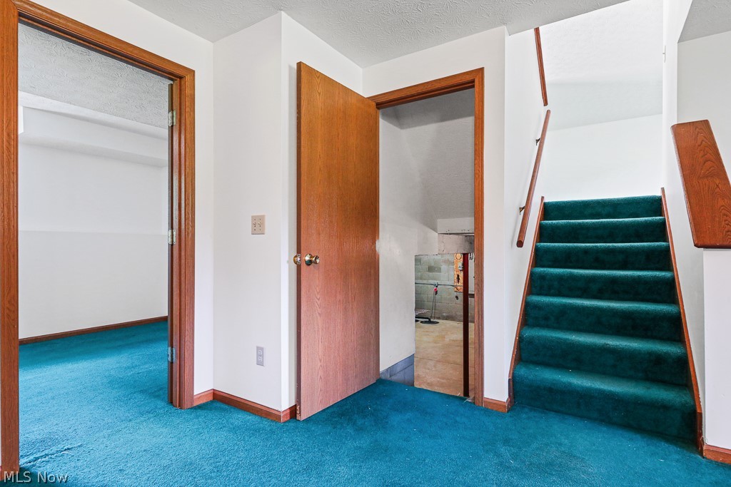 2642 Blake Road Wadsworth, OH 44281 - Photo 33 of 46 Bright white walls with teal carpeting