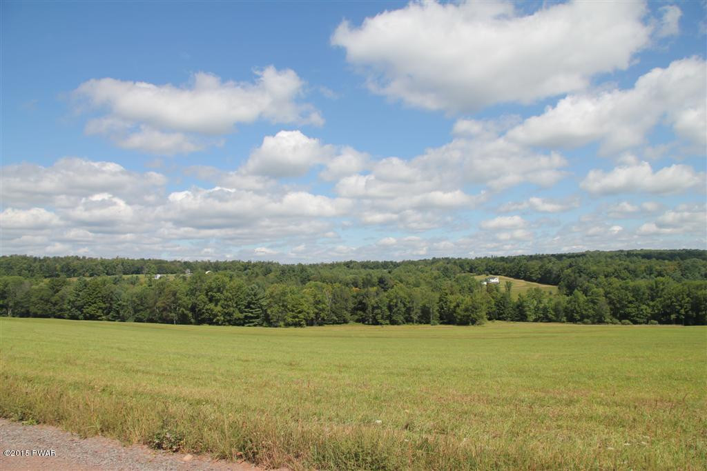 Skinner Road Honesdale, PA 18431 - Photo 2 of 10
