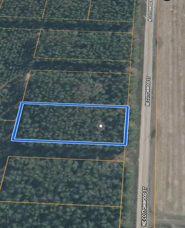 $24,000 | 0 Northeast Cottonwood Street, Pinetta, FL 32350