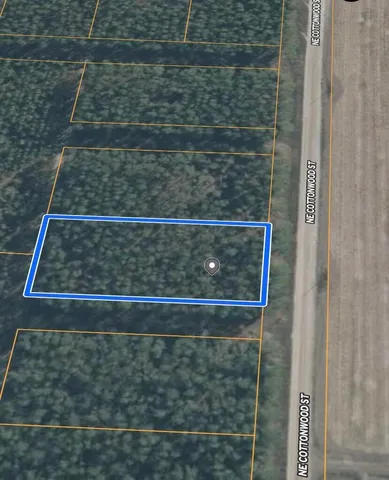 $24,000 | 0 Northeast Cottonwood Street, Pinetta, FL 32350