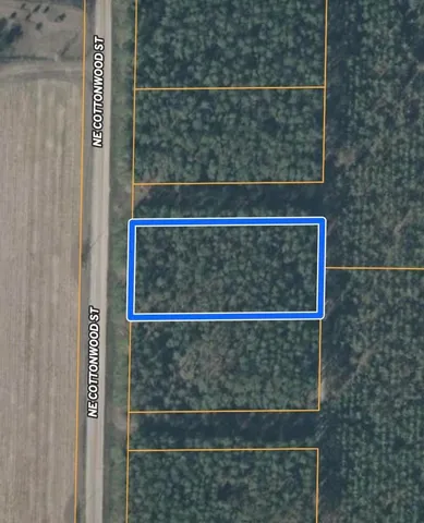 $24,000 | 0 Northeast Cottonwood Street, Pinetta, FL 32350