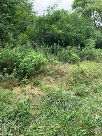 $24,000 | 0 Northeast Cottonwood Street, Pinetta, FL 32350