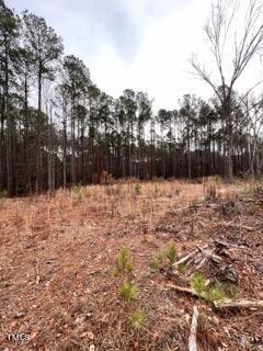 9504 Earpsboro Chamblee Road Wendell, NC 27591 - Photo 5 of 7 Open area