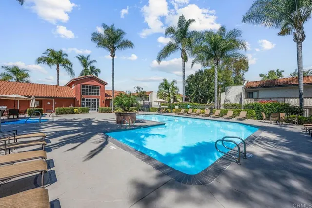 a view of a swimming pool with a lawn chairs and palm tree