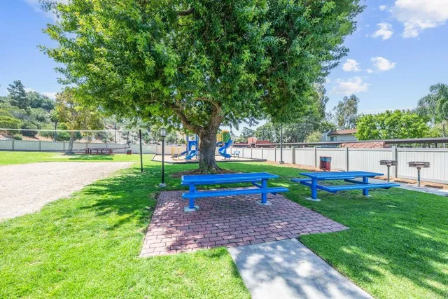 a view of a park with plants and a slide