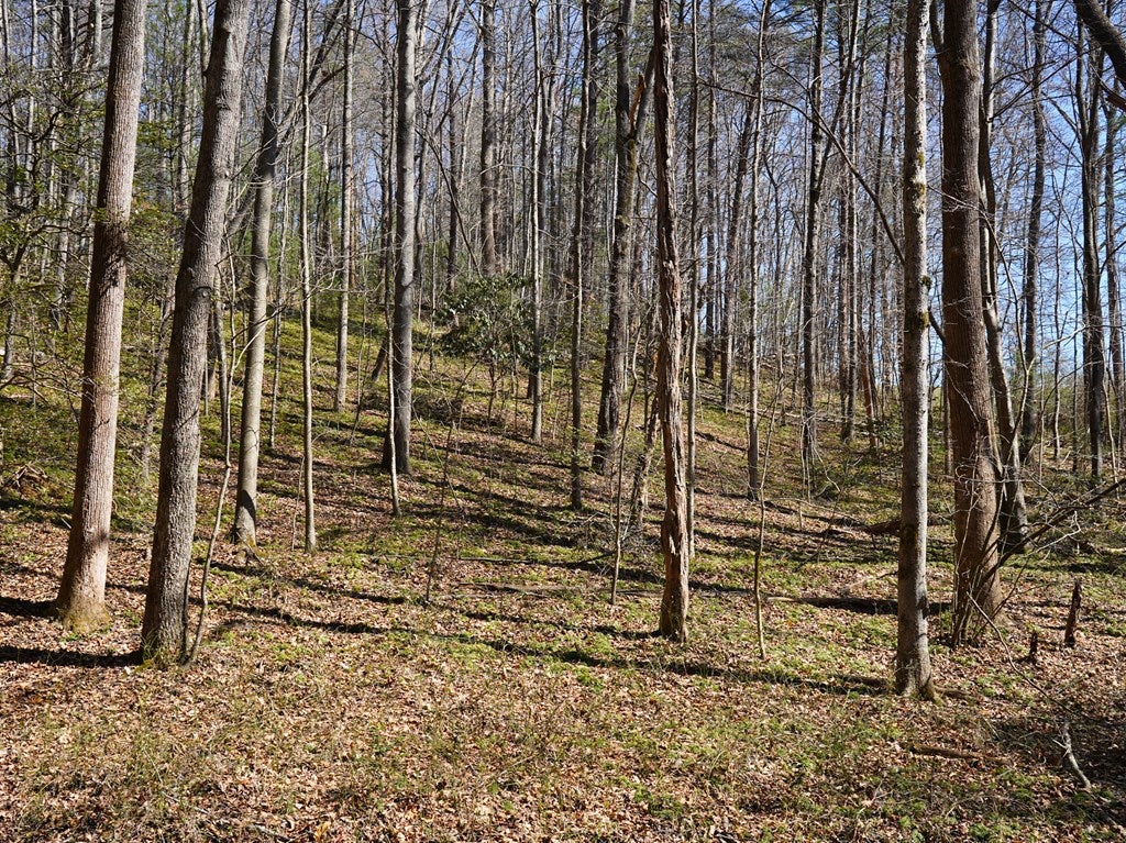 0 Flatridge Road Cana, VA 24317 - Photo 23 of 29 Gallery Image 23