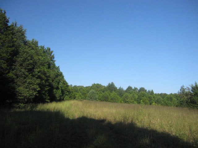 153 Mill Road Dry Fork, VA 24549 - Photo 2 of 28 Great Field