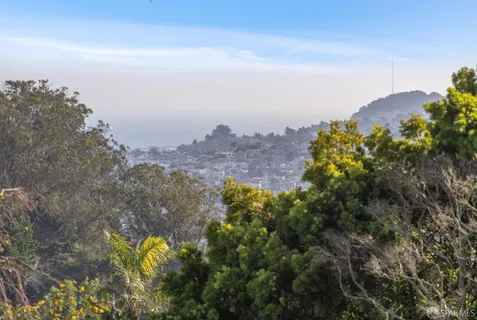 a view of a bunch of trees in front of house