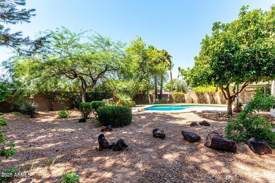 4909 East Waltann Lane Scottsdale, AZ 85254 - Photo 34 of 34 a view of a park with large trees