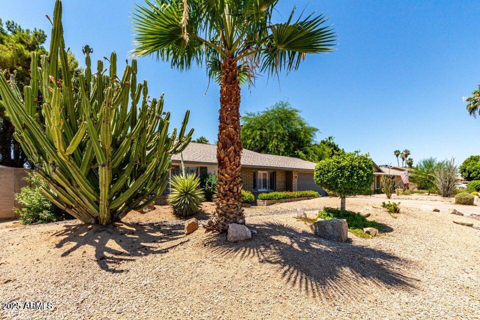 4909 East Waltann Lane Scottsdale, AZ 85254 - Photo 4 of 34 a view of a backyard with a patio