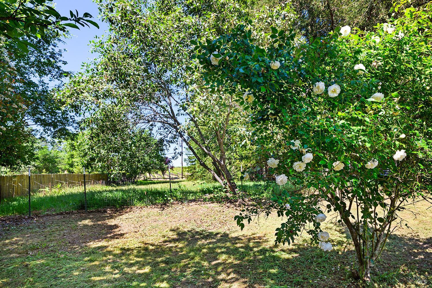 3950 Hicks Road Sebastopol, CA 95472 - Photo 26 of 35