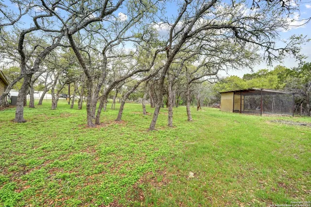 a view of a yard with a tree