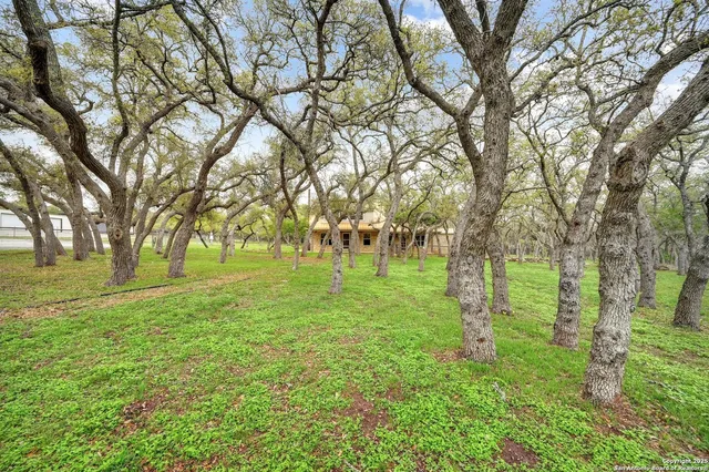 a huge green field with lots of trees