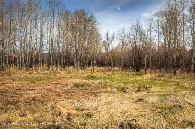 $880,000 | 33 South Driggs Id 83422, Driggs, ID 83422