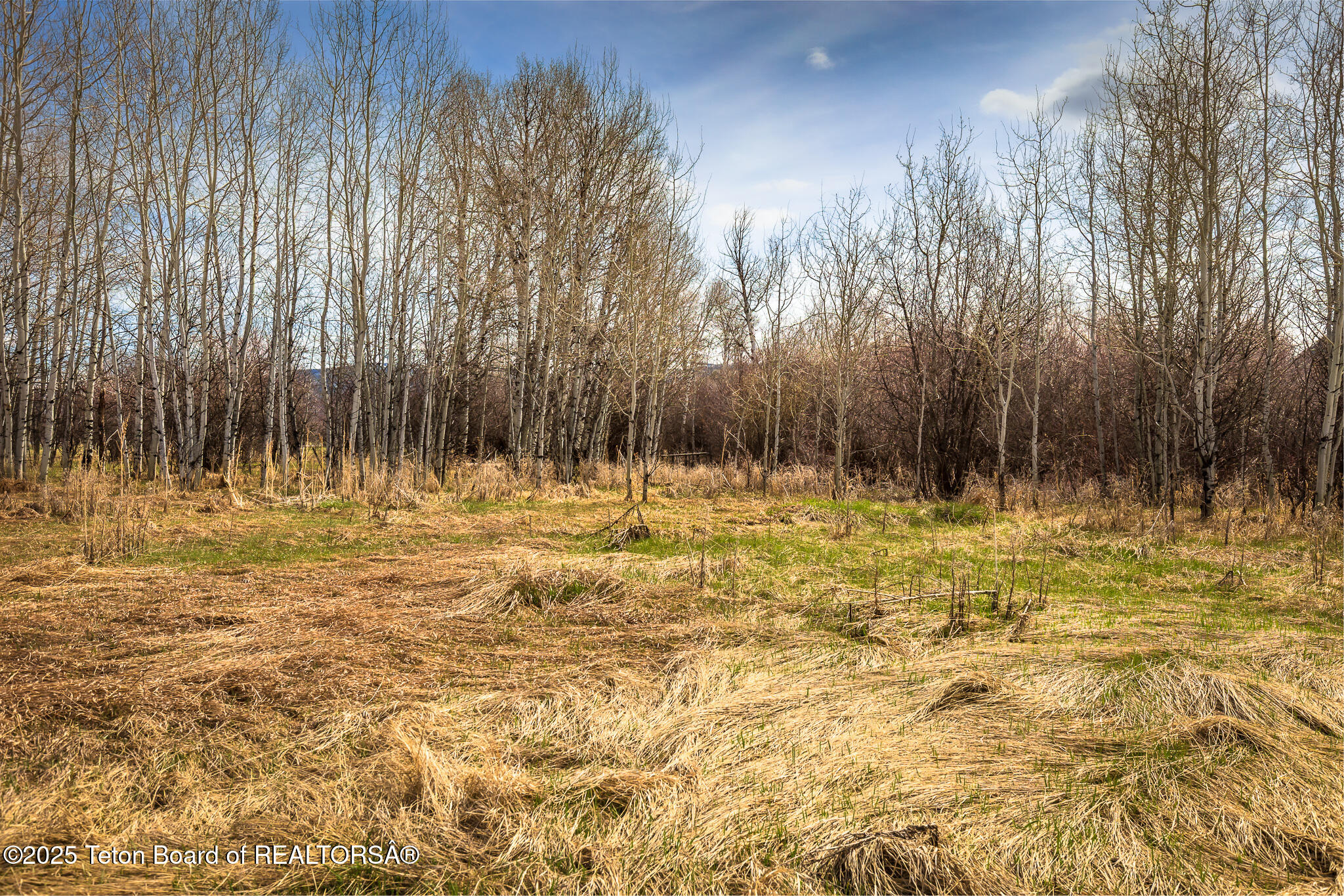 33 South Driggs Id 83422 Driggs, ID 83422 - Photo 7 of 12 image-10