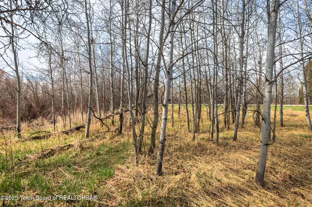 $880,000 | 33 South Driggs Id 83422, Driggs, ID 83422