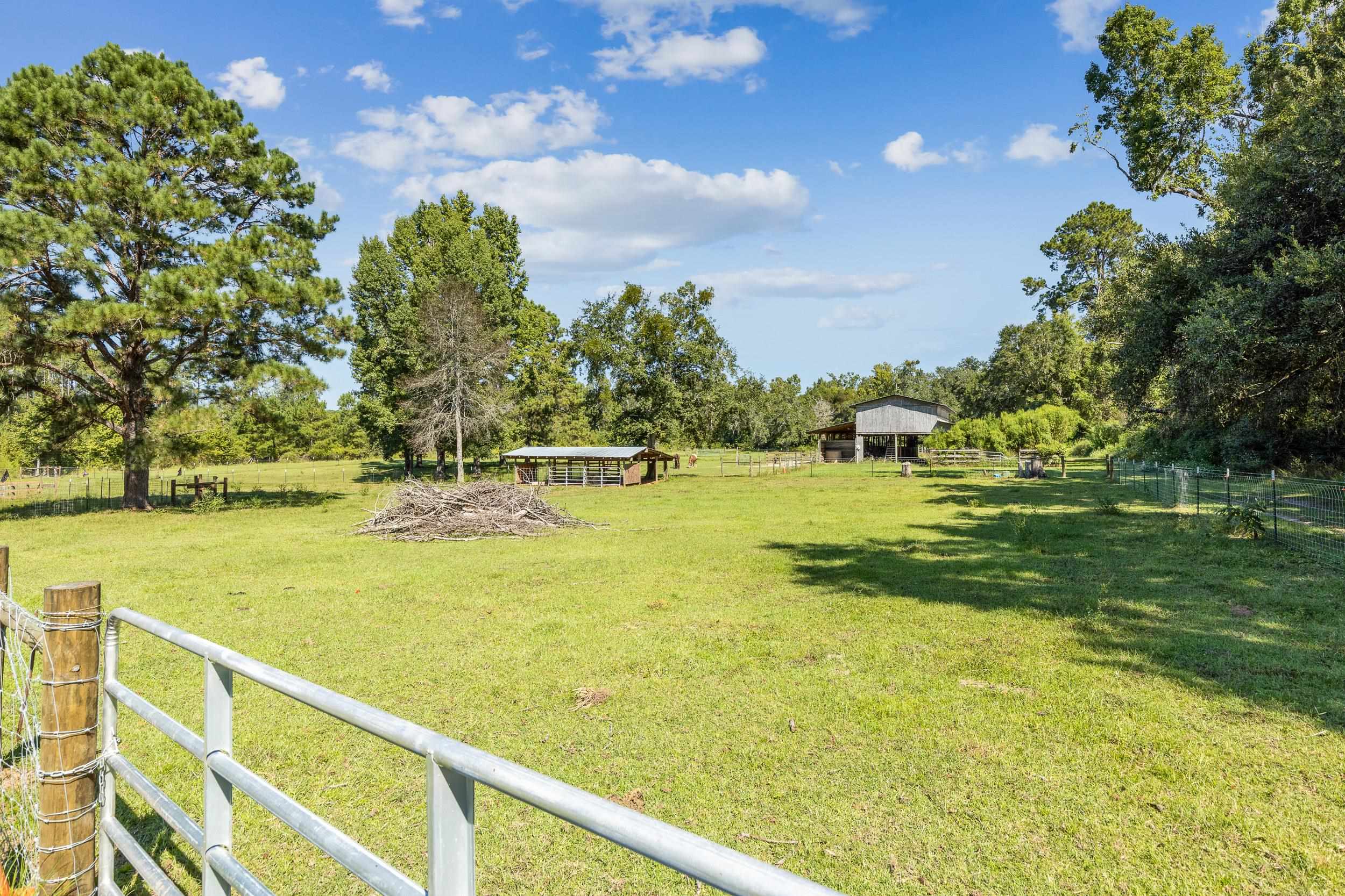 874 Lake Road Monticello, FL 32344 - Photo 28 of 36 Gallery Image 28