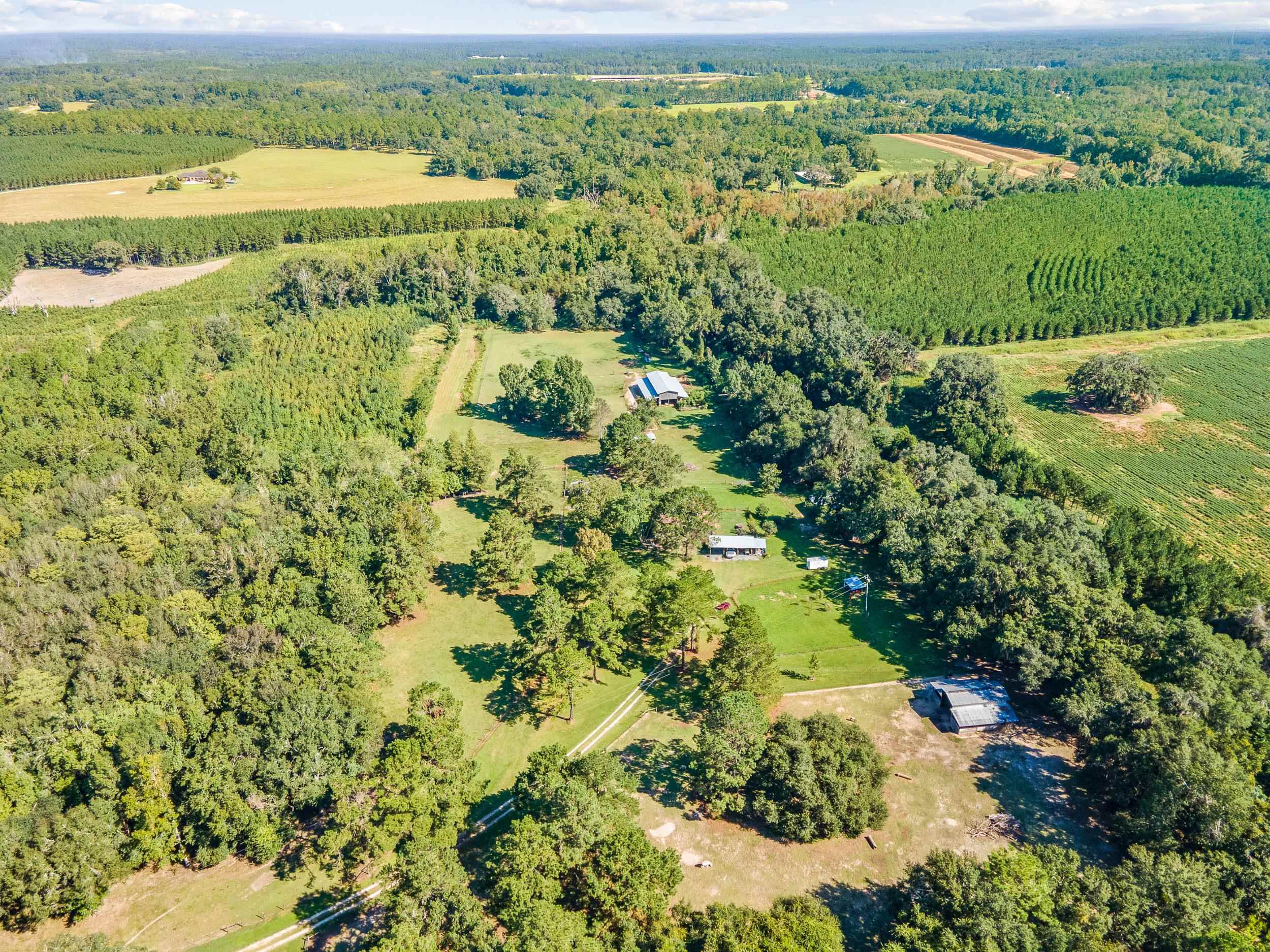 874 Lake Road Monticello, FL 32344 - Photo 8 of 36 Gallery Image 8