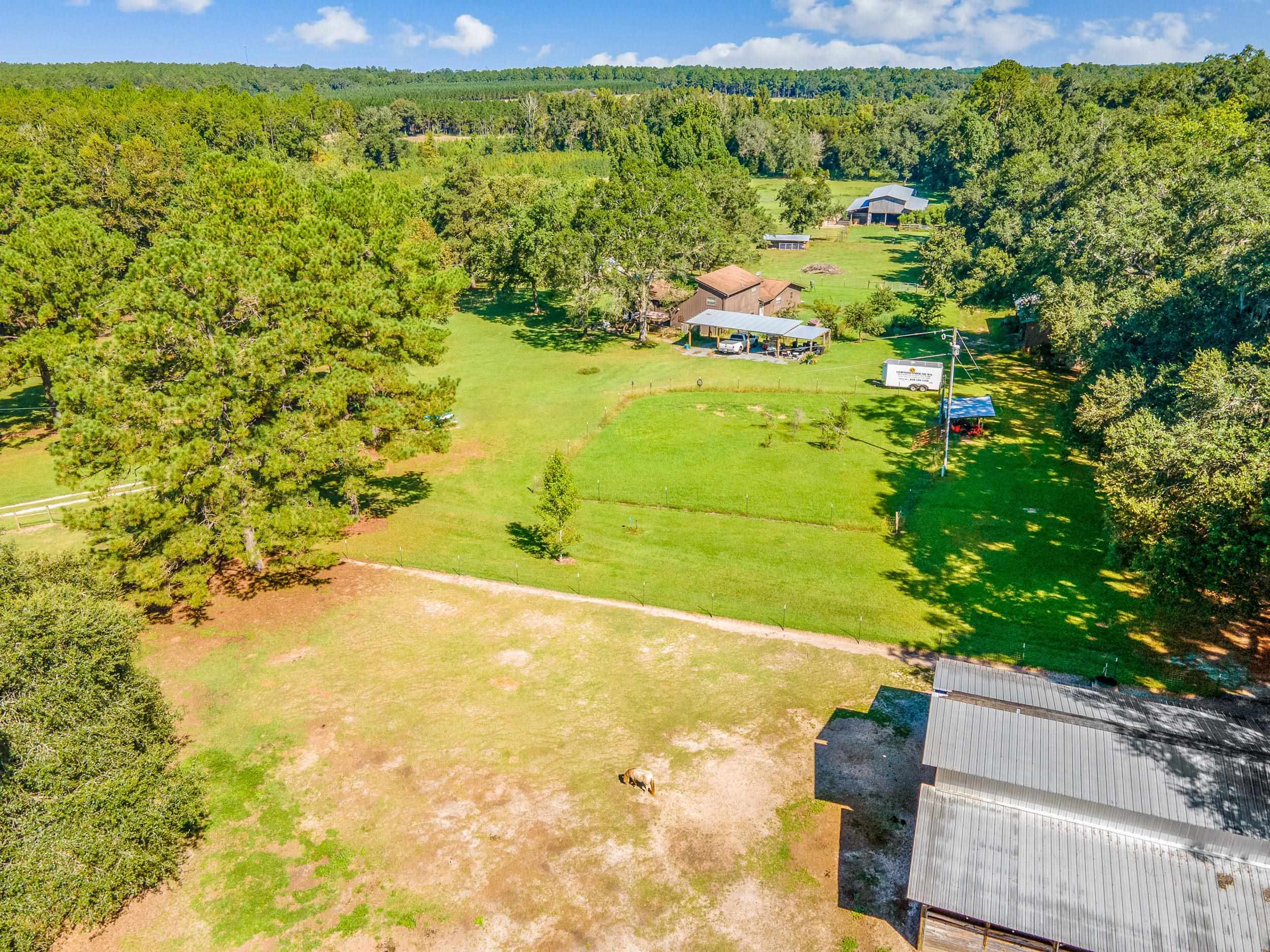 874 Lake Road Monticello, FL 32344 - Photo 9 of 36 Gallery Image 9
