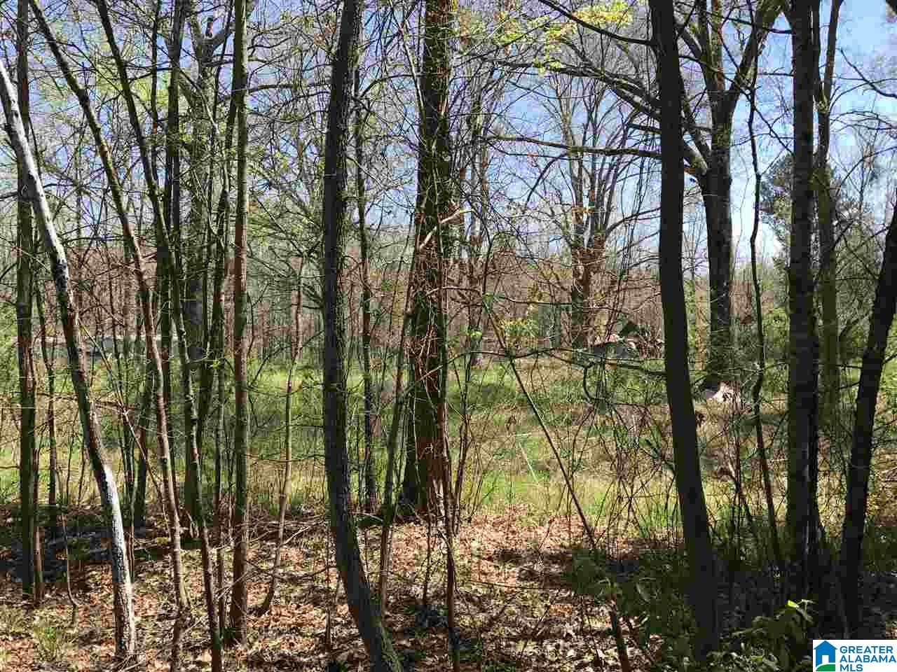 4133 Roy Webb Road, Unit 1 Jacksonville, AL 36265 - Photo 28 of 40