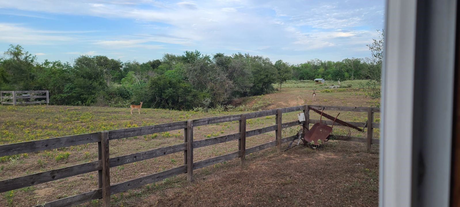 14029 Cochran Road Waller, TX 77484 - Photo 21 of 25