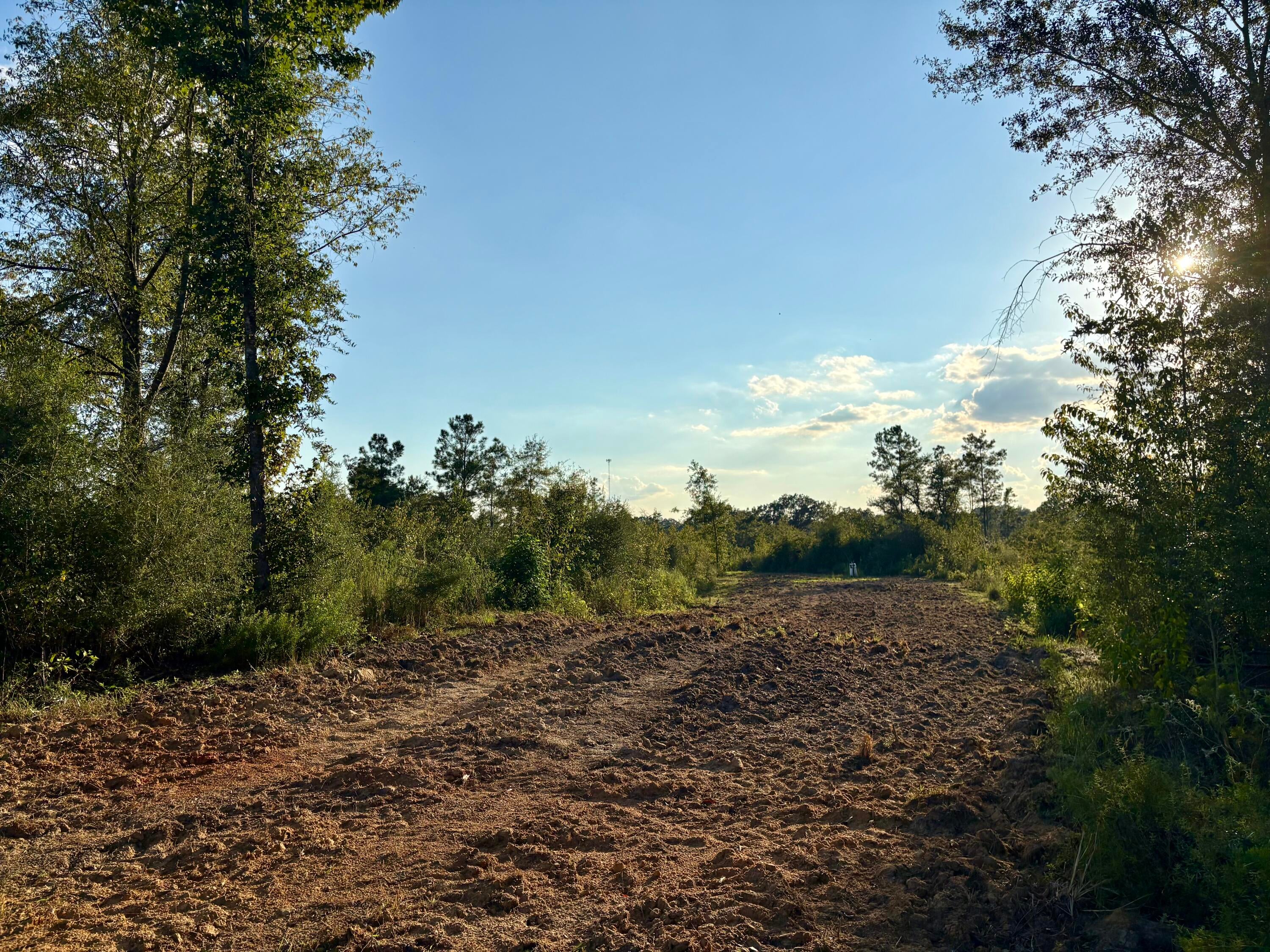 0 Sawmill Road Sandy Hook, MS 39478 - Photo 6 of 17 Gallery Image 6