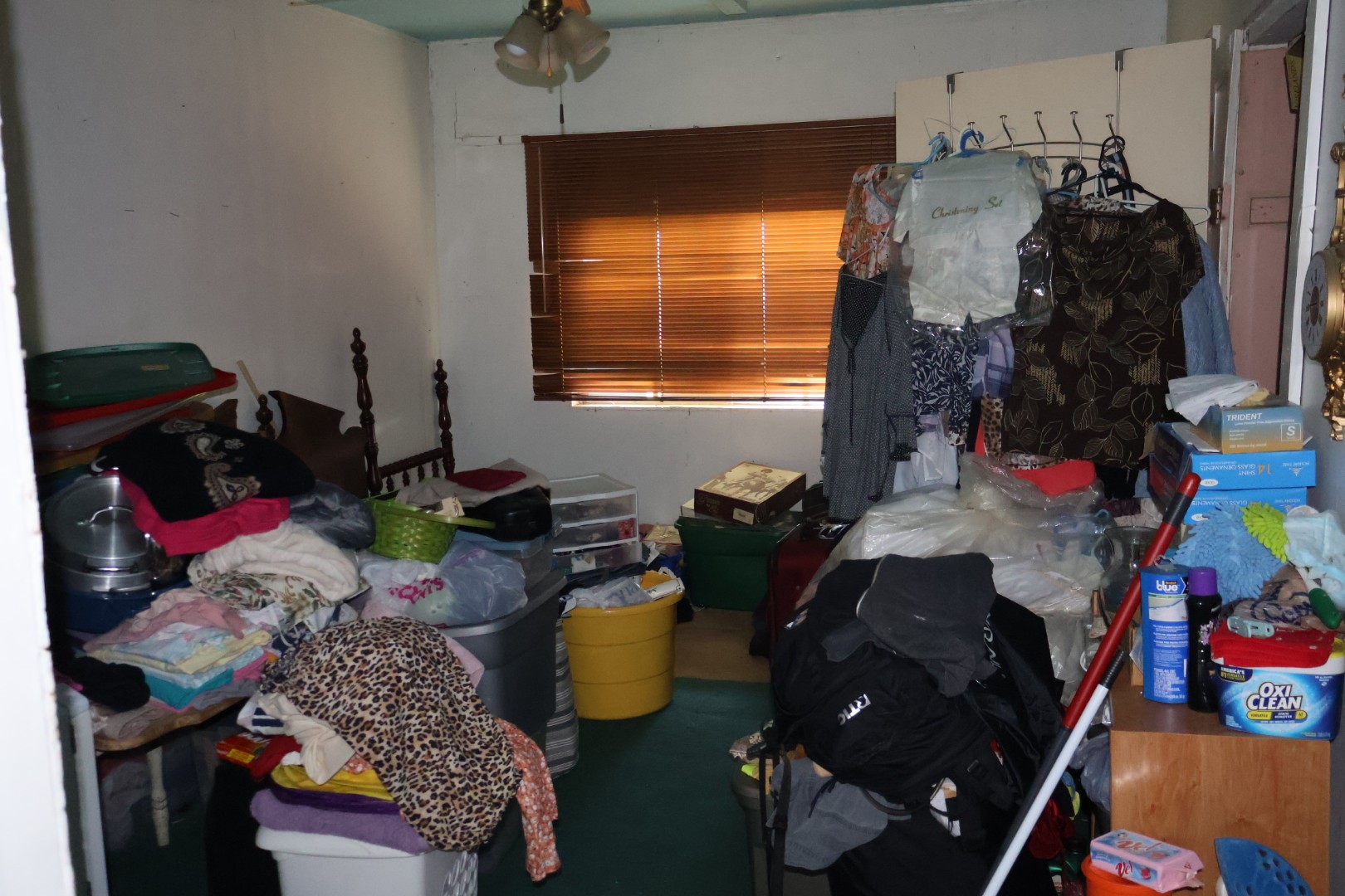 13350 Granada Street Houston, TX 77015 - Photo 24 of 25 Front tree