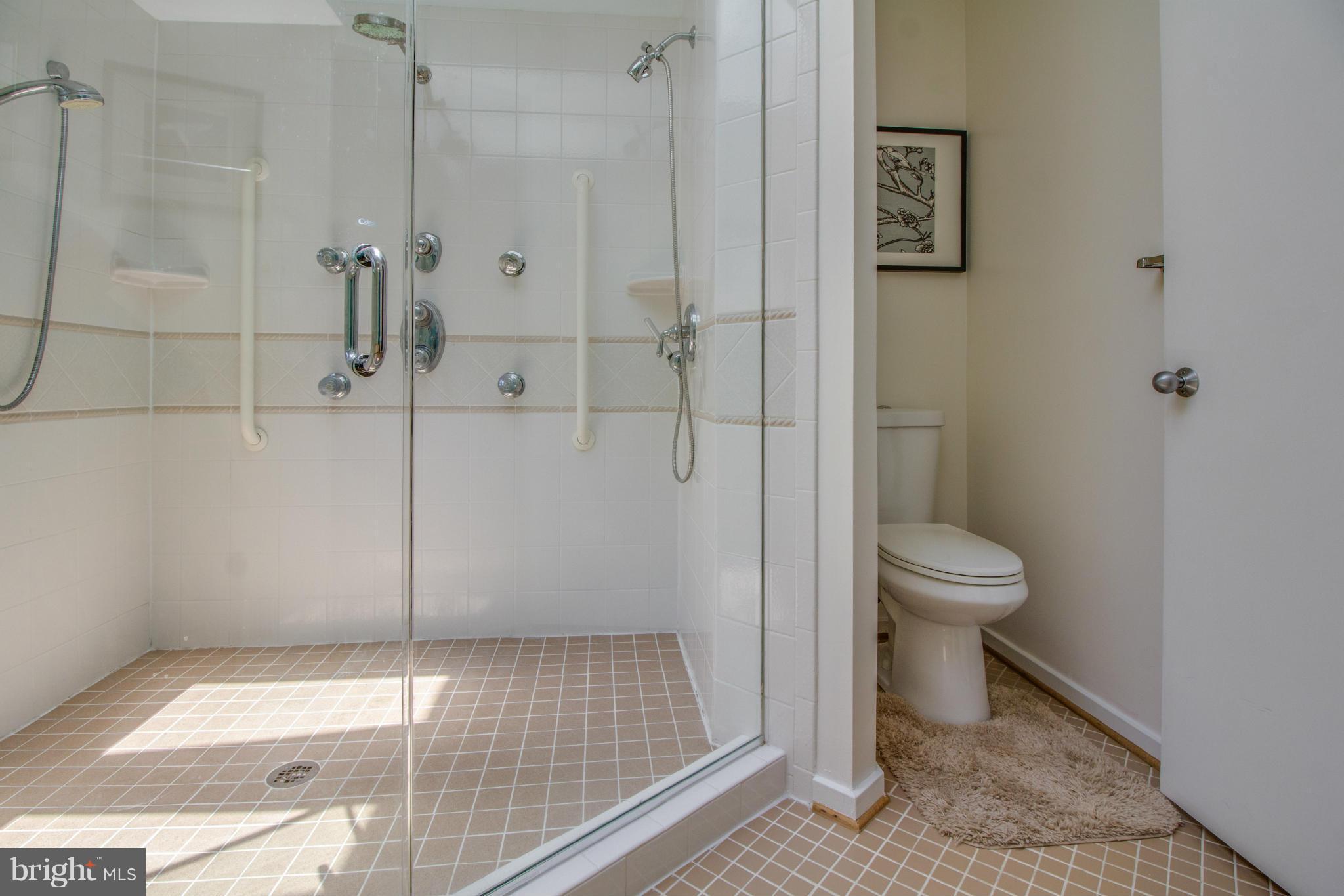 1673 Cedar Hollow Way Reston, VA 20194 - Photo 12 of 30 Bath (Master)
