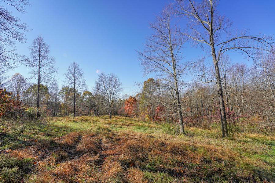 0 Millfield Road Millfield, OH 45761 - Photo 11 of 45 Gallery Image 11