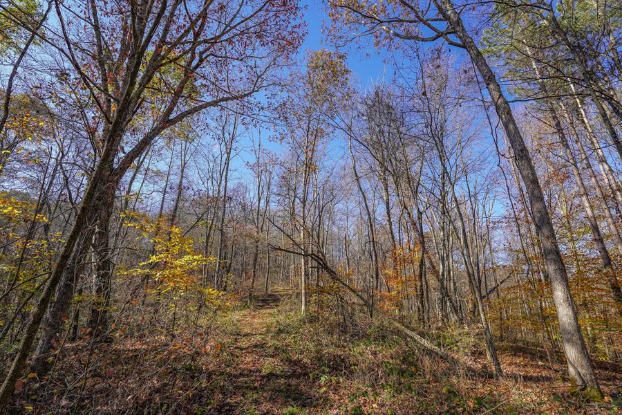 0 Millfield Road Millfield, OH 45761 - Photo 21 of 45 Gallery Image 21