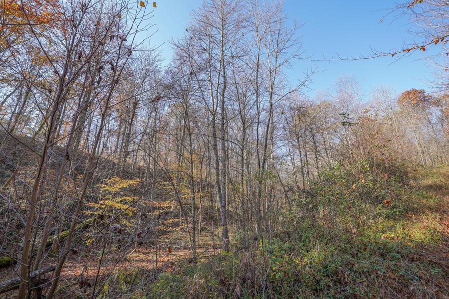 0 Millfield Road Millfield, OH 45761 - Photo 6 of 45 Gallery Image 6