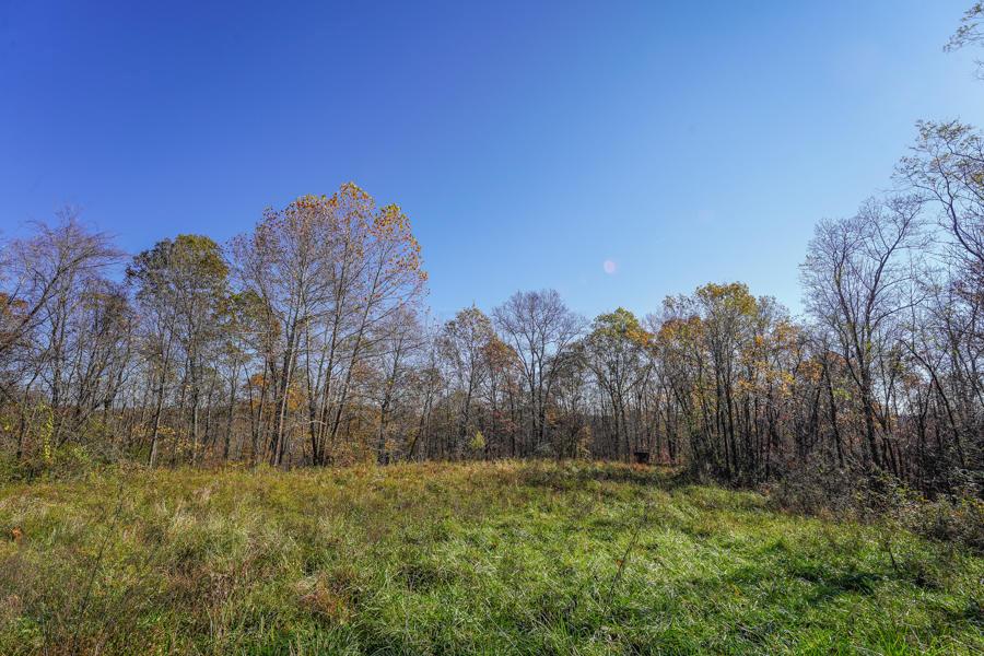 0 Millfield Road Millfield, OH 45761 - Photo 8 of 45 Gallery Image 8