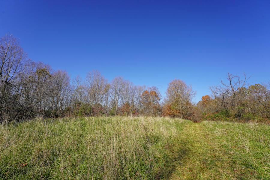 0 Millfield Road Millfield, OH 45761 - Photo 10 of 45 Gallery Image 10