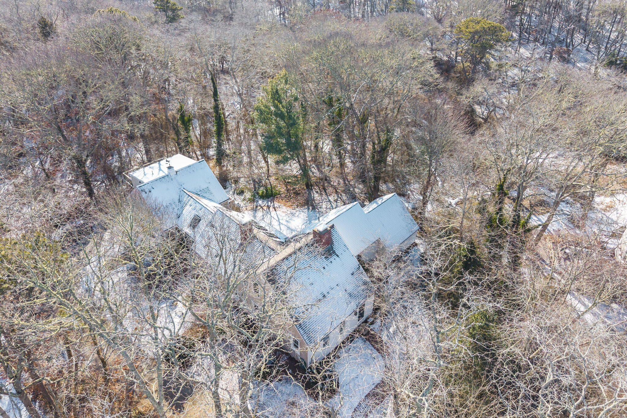14 Bambi Way Orleans, MA 02653 - Photo 55 of 59 a view of a dry yard with trees