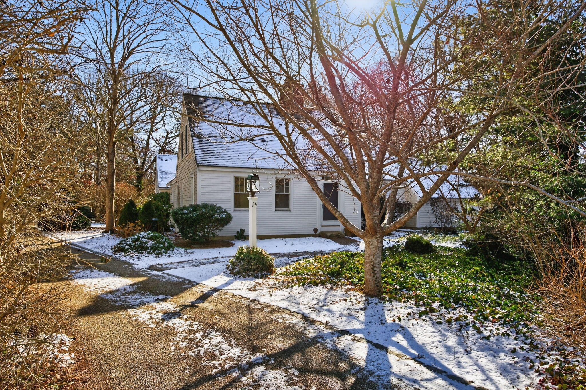 14 Bambi Way Orleans, MA 02653 - Photo 56 of 59 403-11-8P0A2335