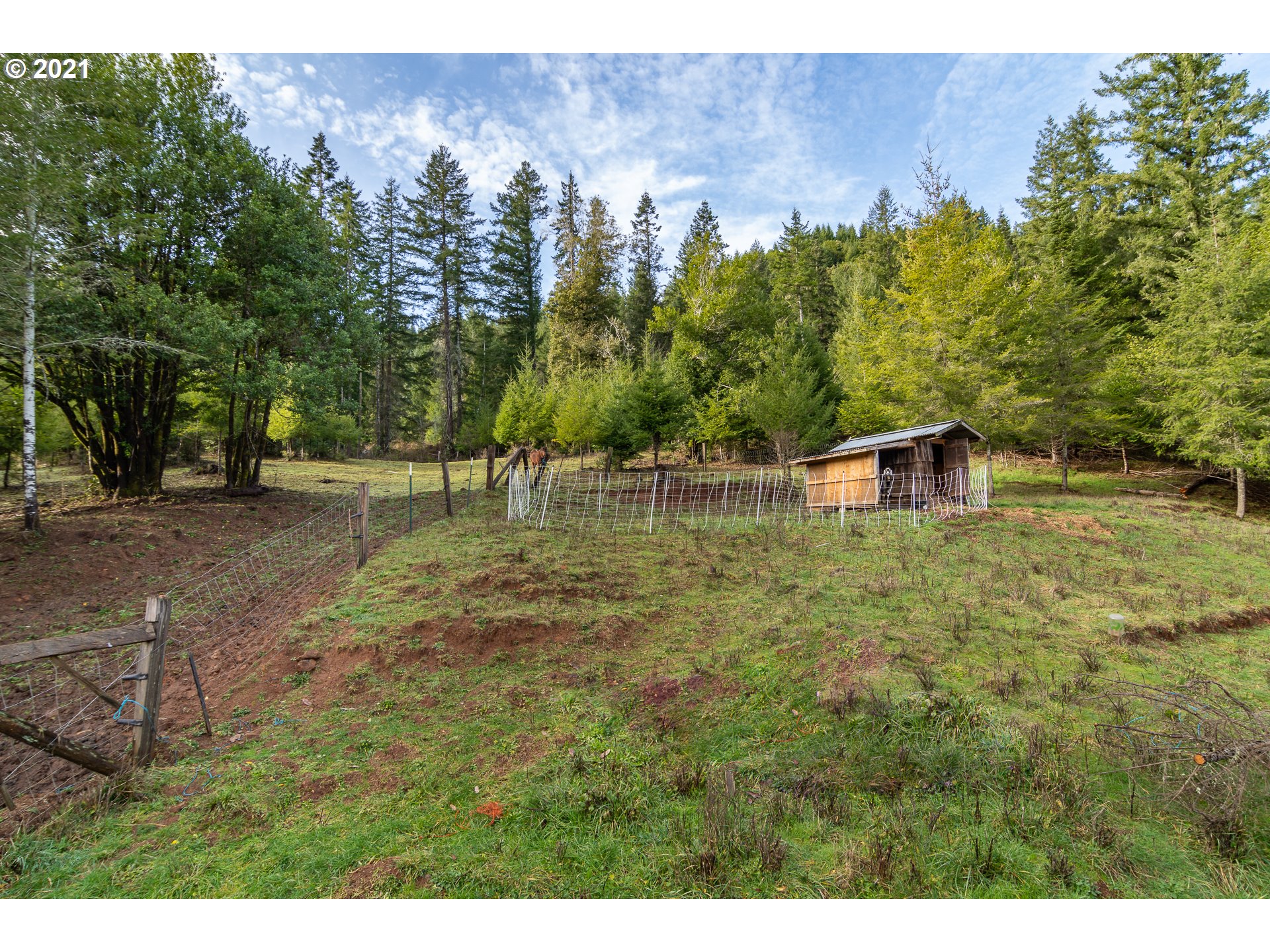 51998 Big Creek Road Myrtle Point, OR 97458 - Photo 29 of 32 a backyard of a house with lots of green space