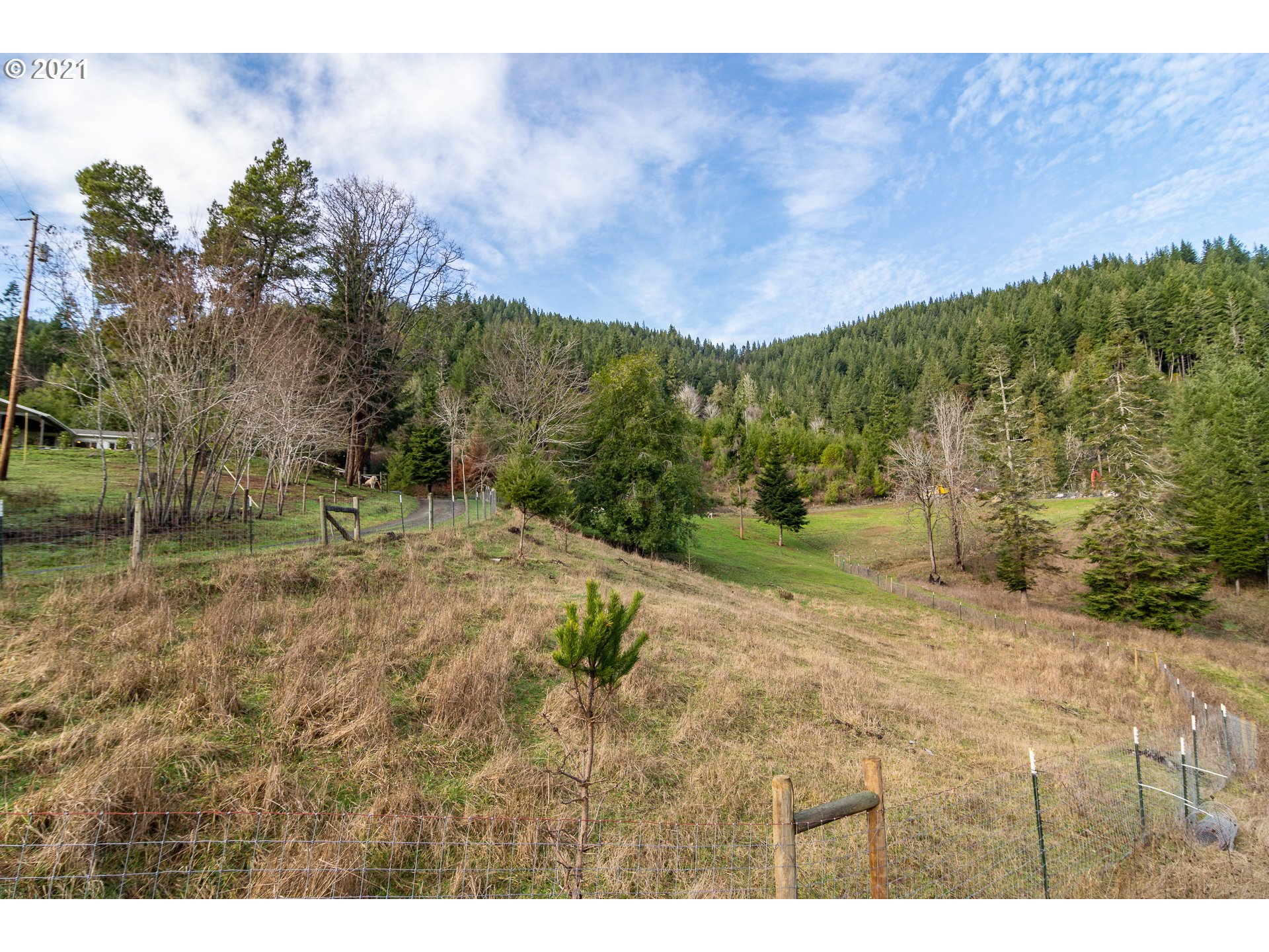 51998 Big Creek Road Myrtle Point, OR 97458 - Photo 30 of 32 a view of a yard with an trees