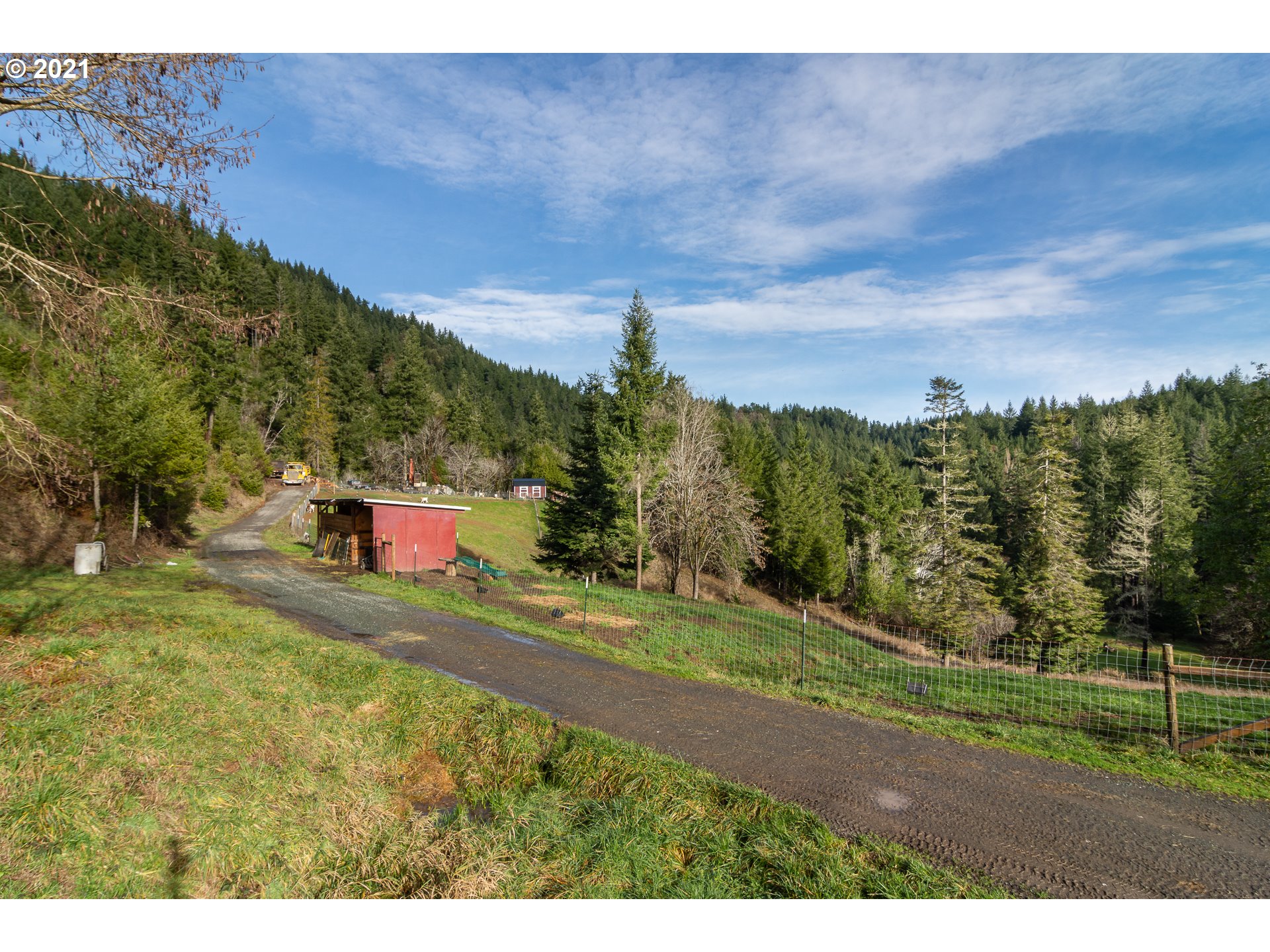 51998 Big Creek Road Myrtle Point, OR 97458 - Photo 4 of 32 a view of a big yard with potted plants and large tree