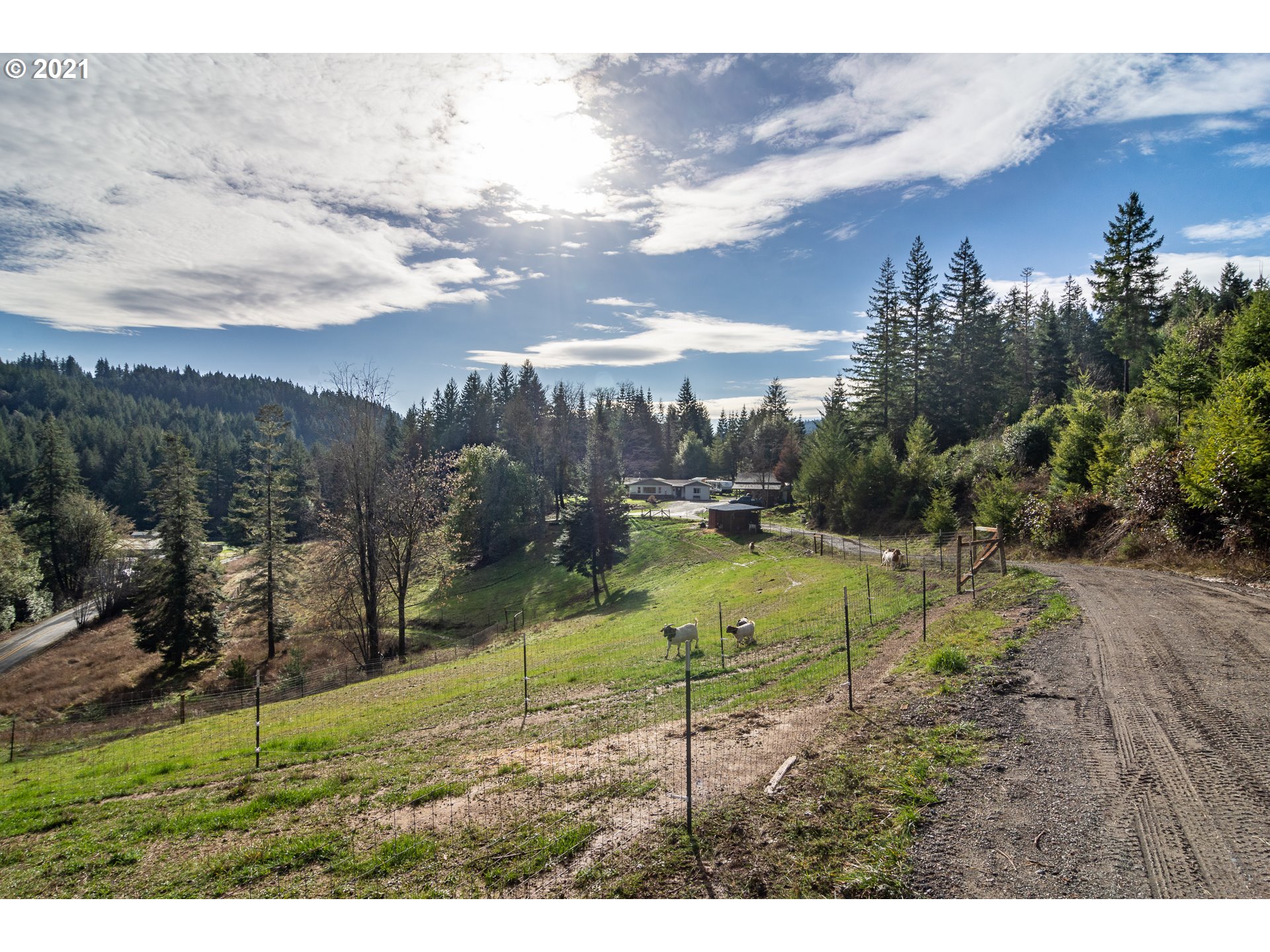 51998 Big Creek Road Myrtle Point, OR 97458 - Photo 5 of 32 a view of a yard