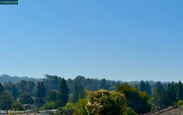 a view of a city with lush green forest