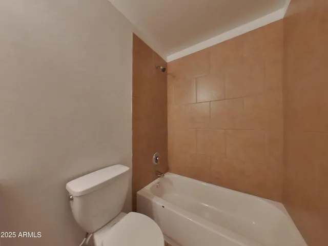 a bathroom with a toilet and a bathtub
