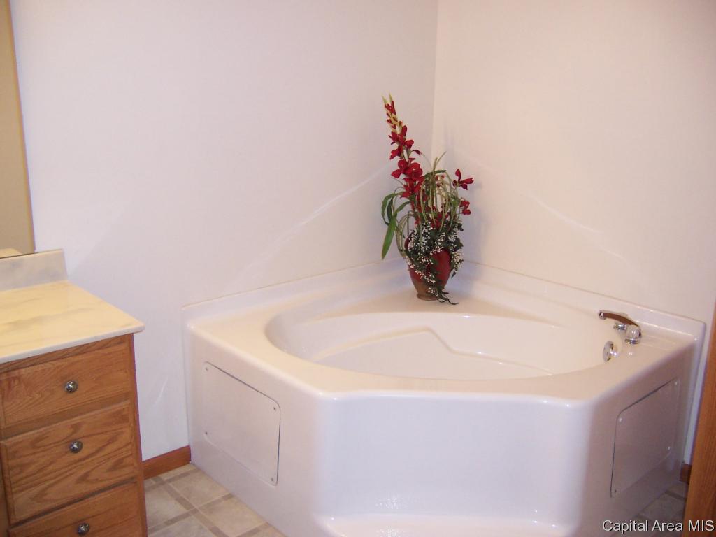 18 Drake Road Jacksonville, IL 62650 - Photo 19 of 19