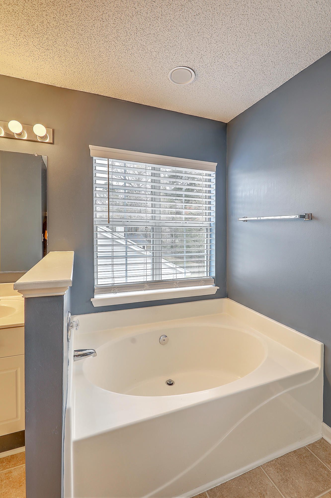 556 Carters Grove Road Charleston, SC 29414 - Photo 27 of 34 Garden tub