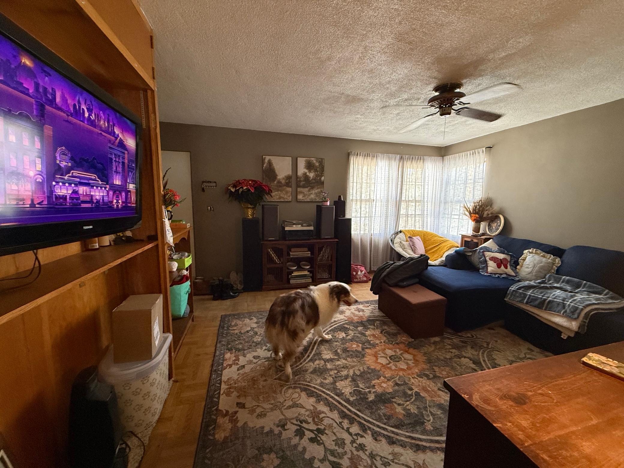 16 3rd Street Northwest Adams, MN 55909 - Photo 3 of 10