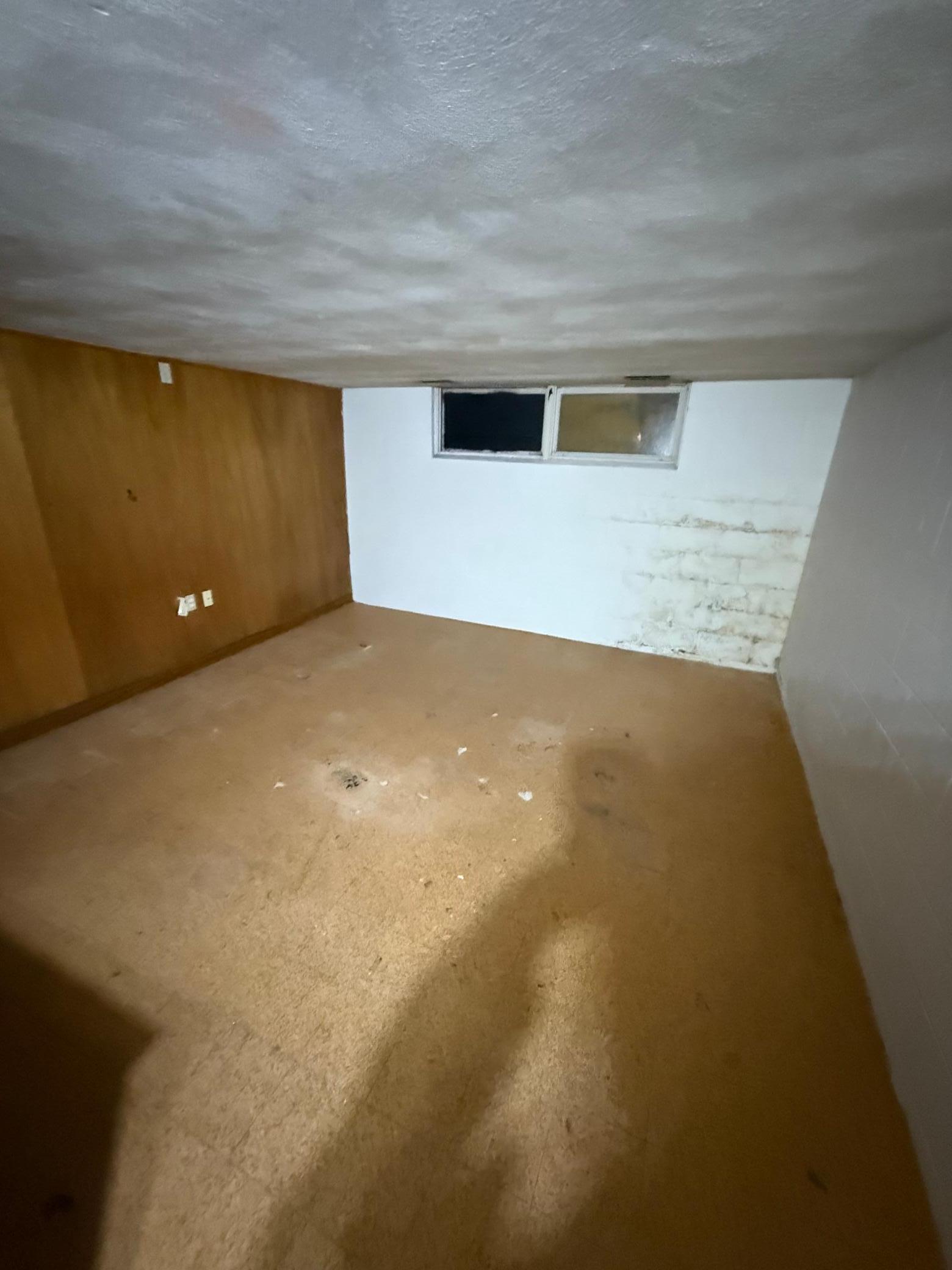 16 3rd Street Northwest Adams, MN 55909 - Photo 8 of 10