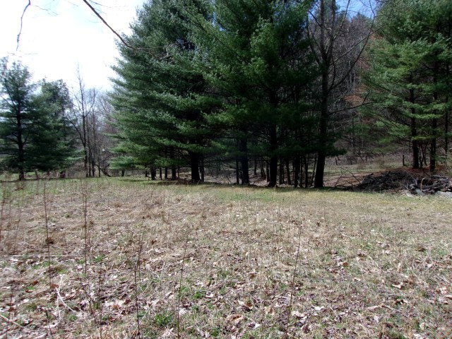 Tbd Rim Rock Lane Independence, VA 24348 - Photo 10 of 28 Gallery Image 10