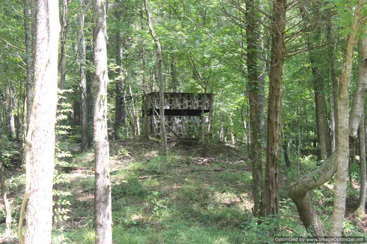 2745 Goat Hill Road Edwards, MS 39066 - Photo 15 of 42 Photo 15