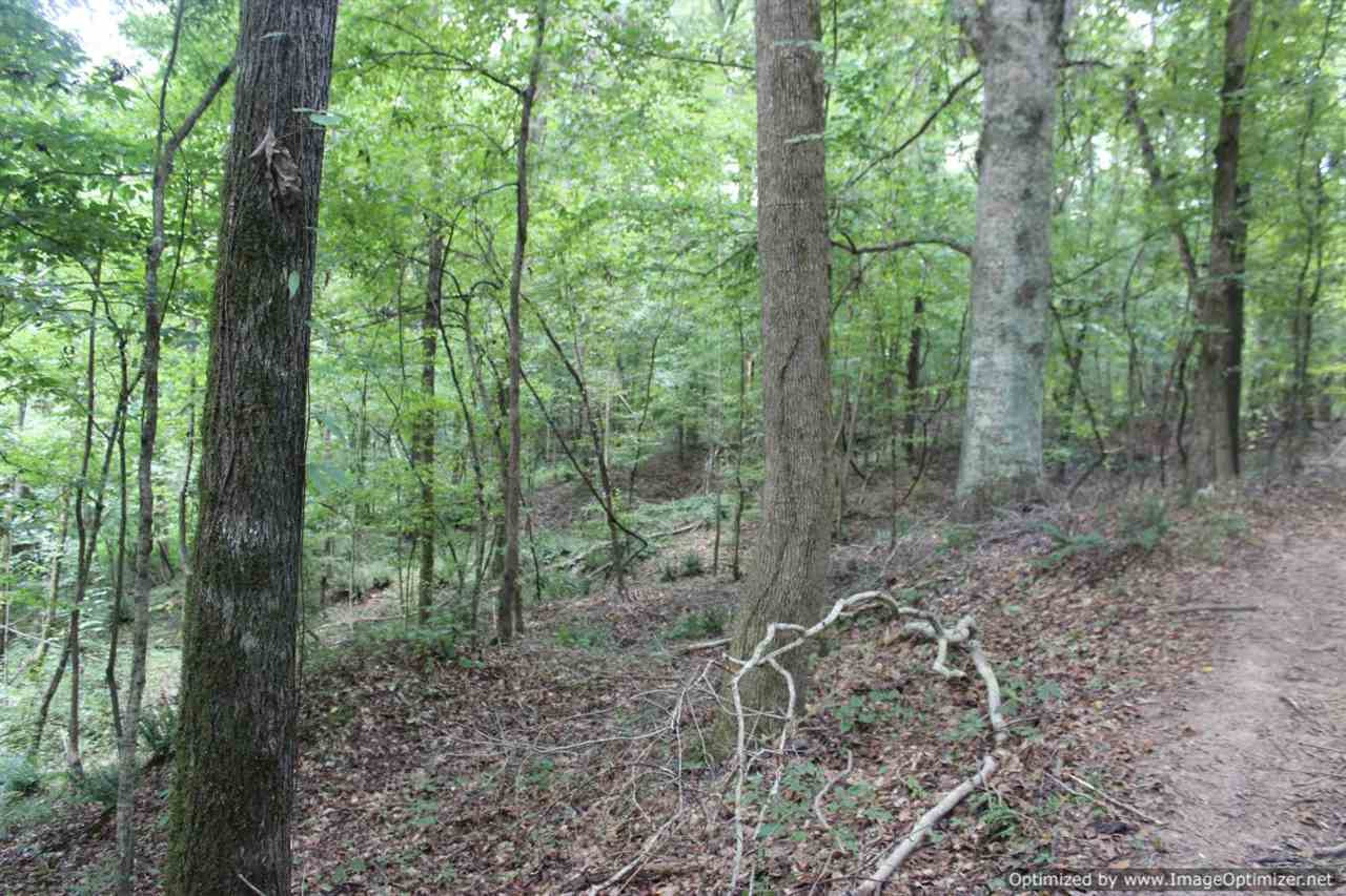 2745 Goat Hill Road Edwards, MS 39066 - Photo 23 of 42 Photo 24