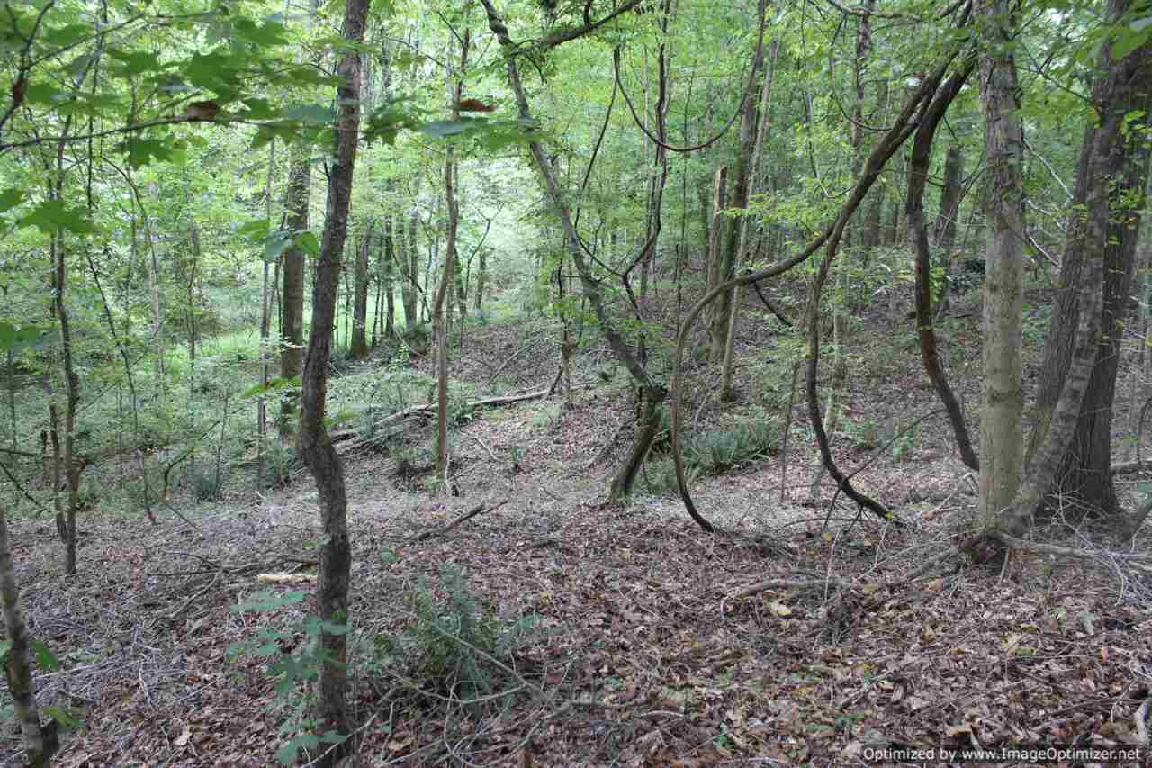 2745 Goat Hill Road Edwards, MS 39066 - Photo 24 of 42 Photo 25