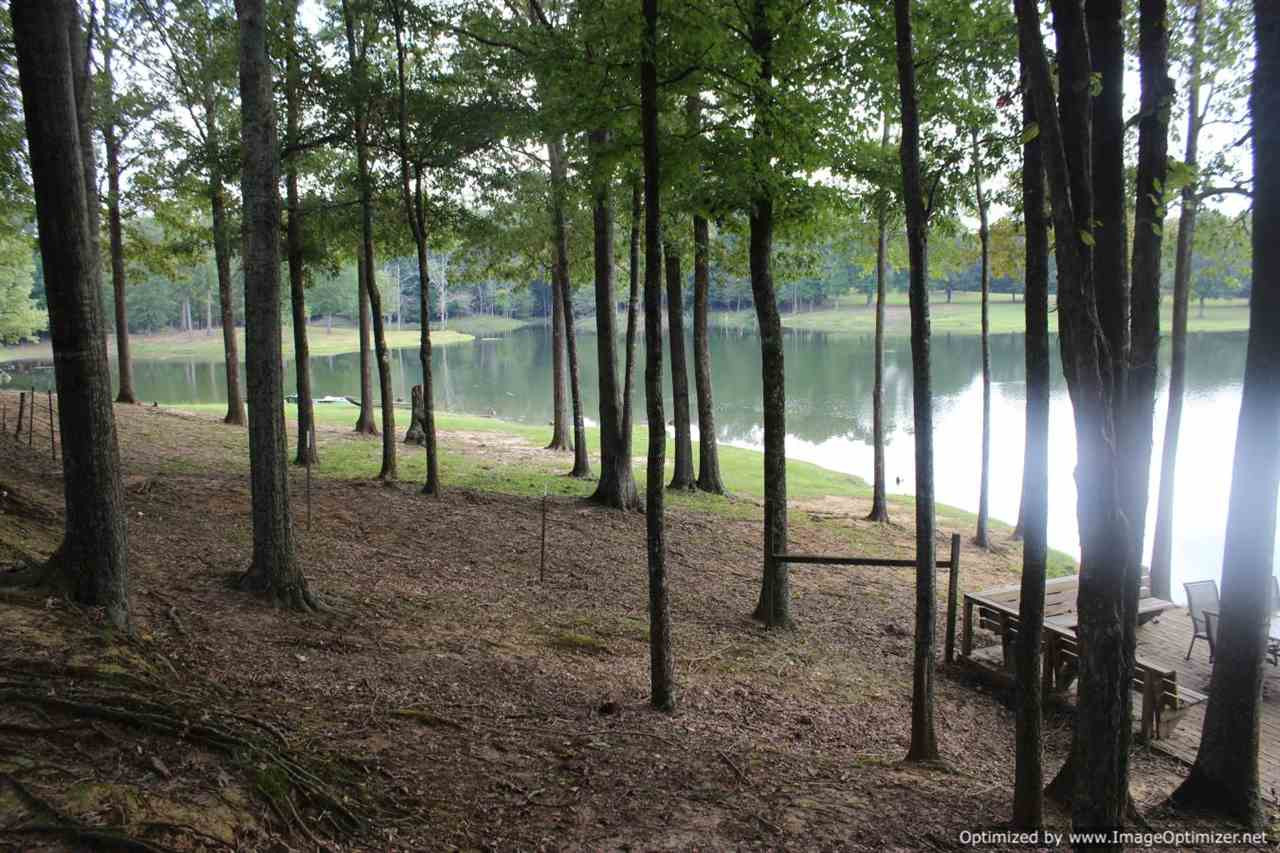 2745 Goat Hill Road Edwards, MS 39066 - Photo 6 of 42 Photo 6